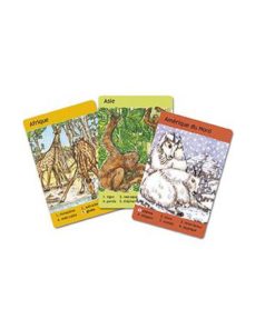 Jogo de Cartas Djeco 7 Famílias (em Francês).