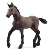 Potro Paso Peruano - Schleich