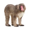 Macaco Japonês - Schleich - Image 1